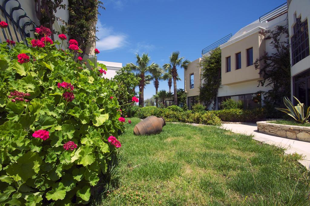 Izer Hotel Beach Club Torba Exterior foto